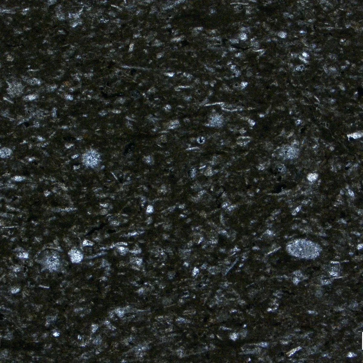 image (5)